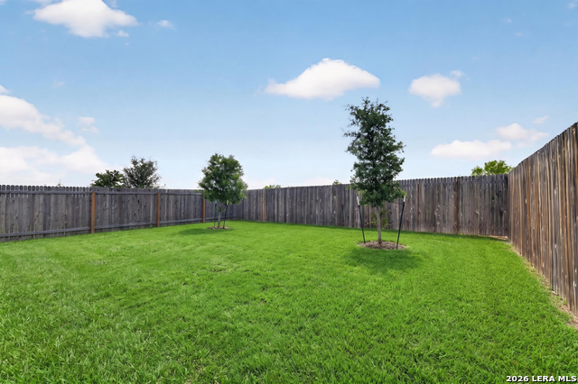 Image 22 of 22 For 12866 Cygnus