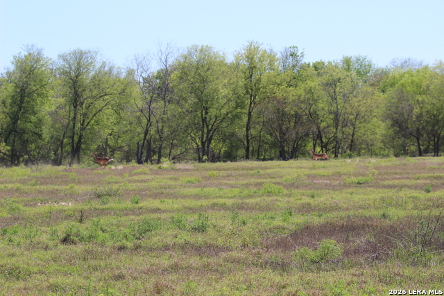 Image 10 of 20 For 287 22nd N 