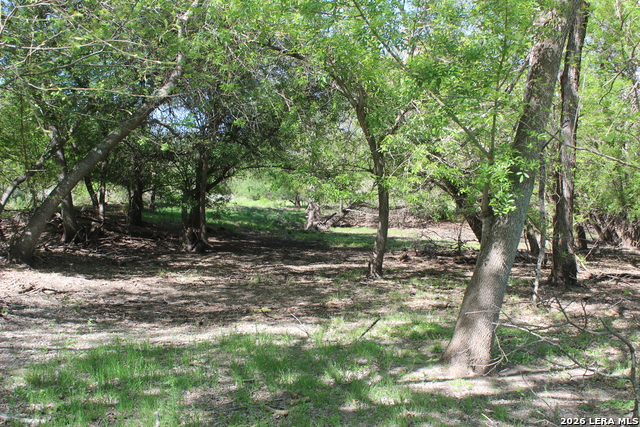 Image 16 of 20 For 287 22nd N 