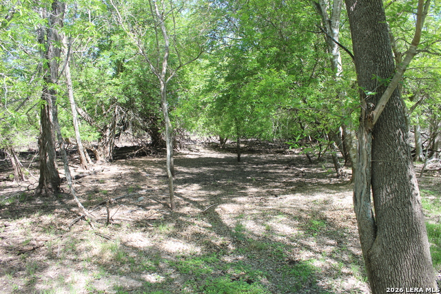 Image 17 of 20 For 287 22nd N 