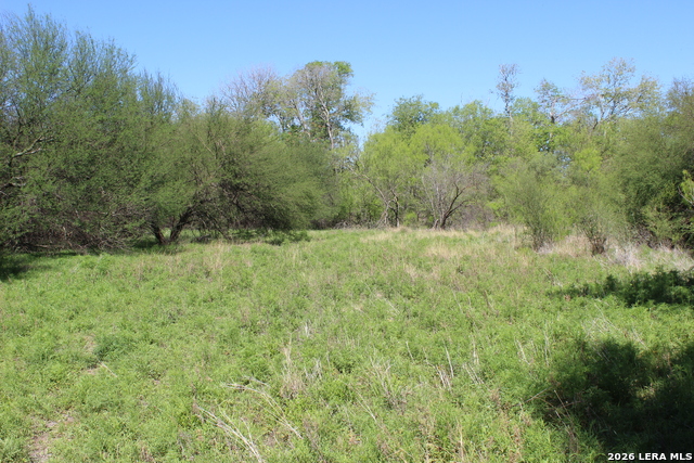 Image 18 of 20 For 287 22nd N 