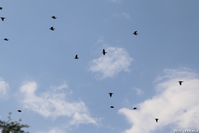 Image 5 of 20 For 287 22nd N 