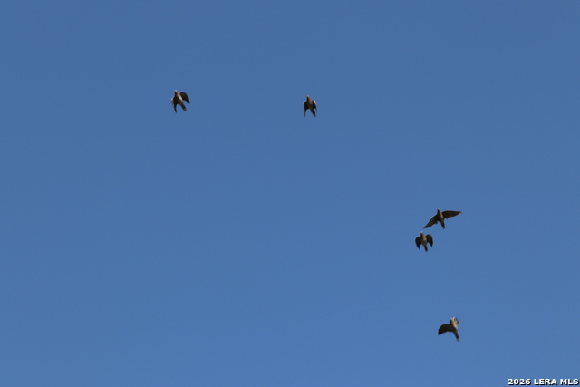 Image 6 of 20 For 287 22nd N 