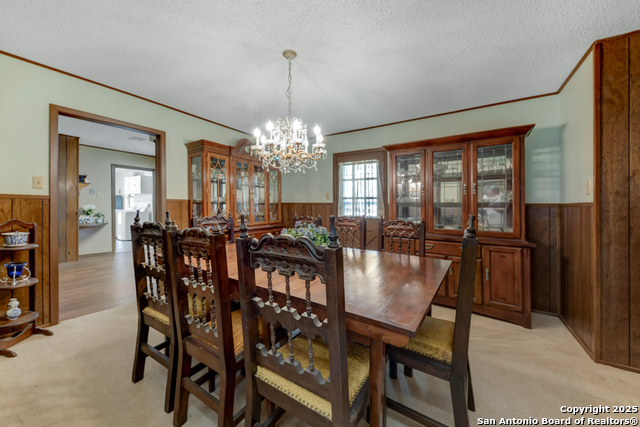 Image 15 of 40 For Tbd Brisco  