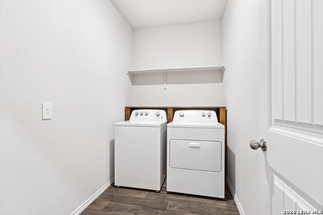 Image 24 of 33 For 840 Nodding Nixie