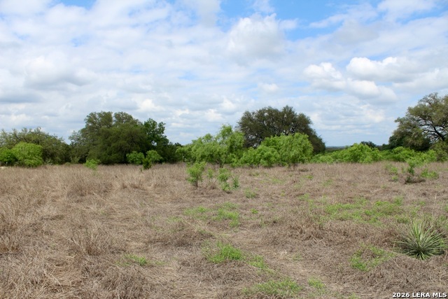 Image 10 of 13 For 000 Cr 341  