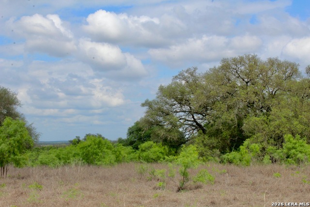 Image 11 of 13 For 000 Cr 341  