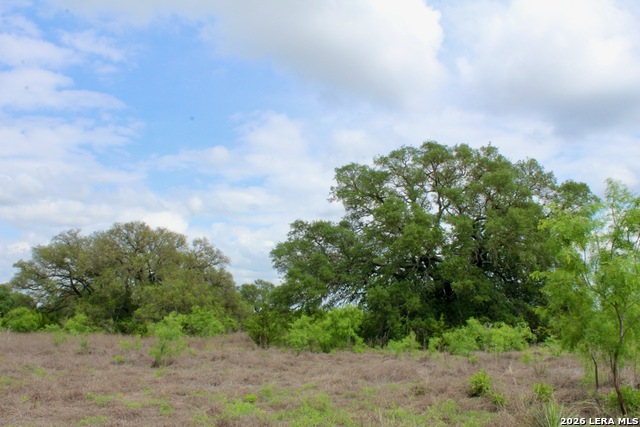 Image 12 of 13 For 000 Cr 341  