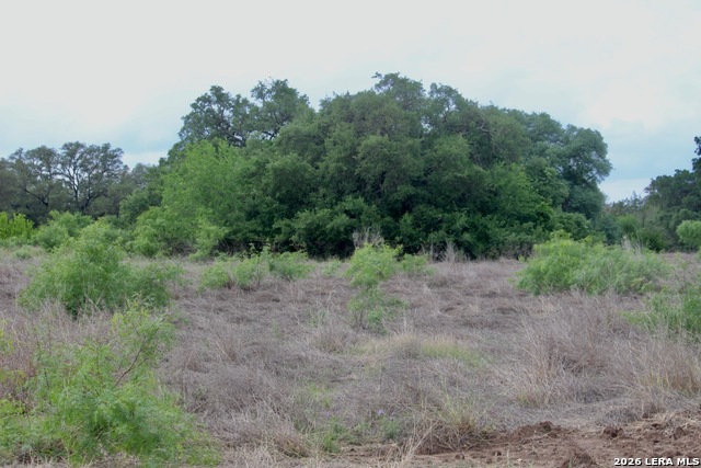 Image 2 of 13 For 000 Cr 341  