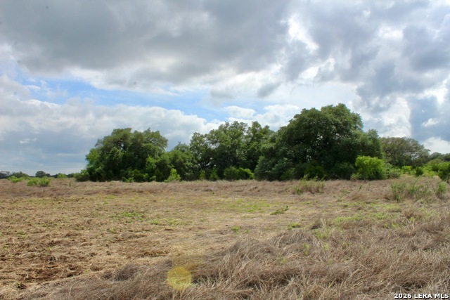 Image 5 of 13 For 000 Cr 341  