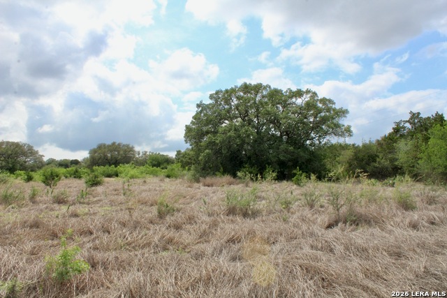 Image 6 of 13 For 000 Cr 341  