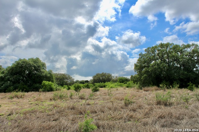 Image 7 of 13 For 000 Cr 341  