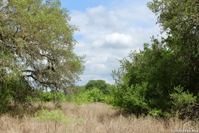 Image 8 of 13 For 000 Cr 341  