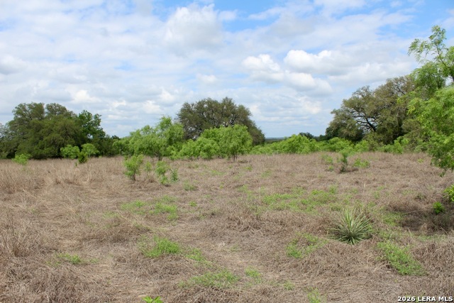 Image 9 of 13 For 000 Cr 341  