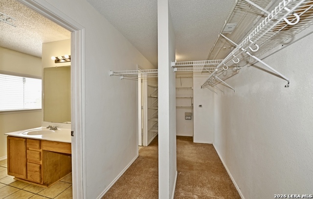 Image 22 of 32 For 18534 Taylore Run