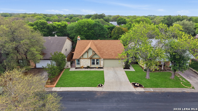 Image 27 of 27 For 10414 Country Horn