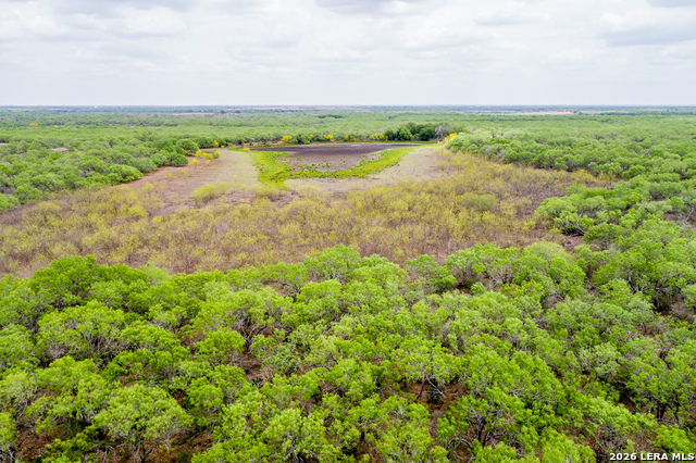 Image 10 of 34 For 1277 County Road 138