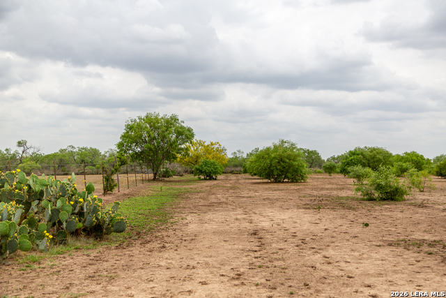 Image 23 of 34 For 1277 County Road 138