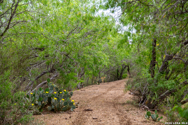 Image 26 of 34 For 1277 County Road 138