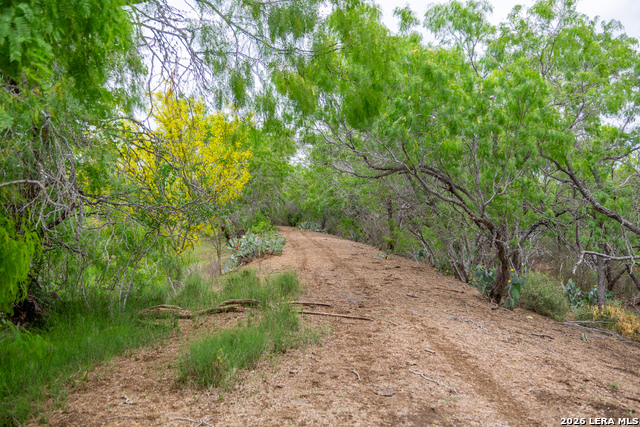 Image 31 of 34 For 1277 County Road 138