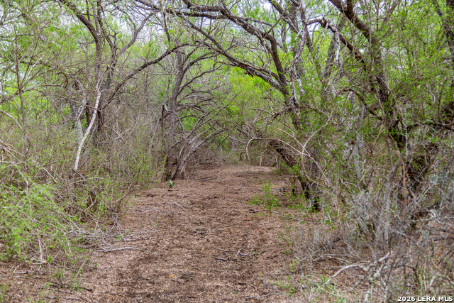 Image 32 of 34 For 1277 County Road 138