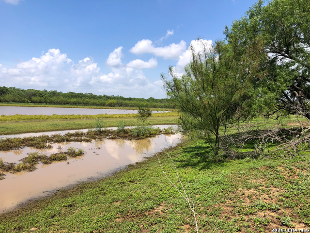 Image 8 of 34 For 1277 County Road 138