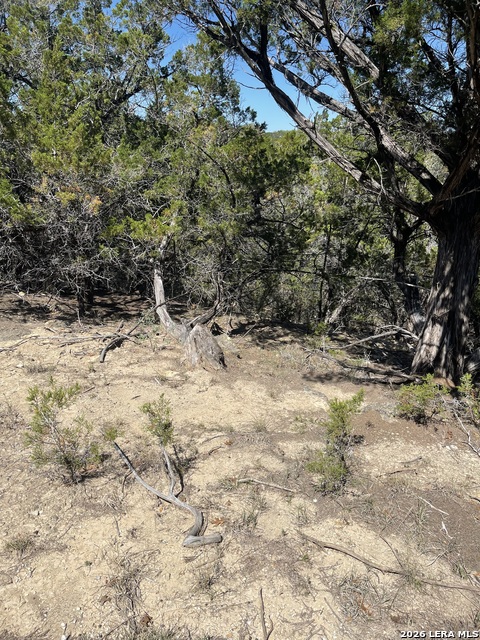 Image 10 of 15 For Lot 161 Bluff View Circle