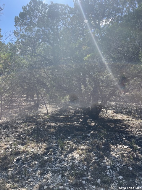 Image 11 of 15 For Lot 161 Bluff View Circle