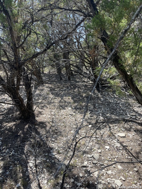 Image 12 of 15 For Lot 161 Bluff View Circle