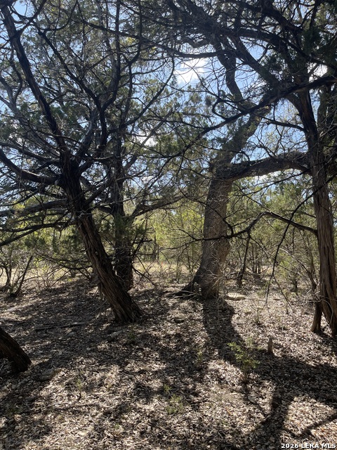 Image 13 of 15 For Lot 161 Bluff View Circle