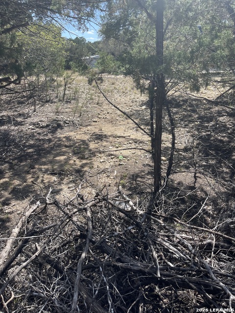 Image 14 of 15 For Lot 161 Bluff View Circle