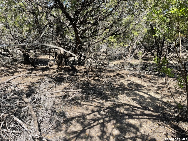 Image 15 of 15 For Lot 161 Bluff View Circle