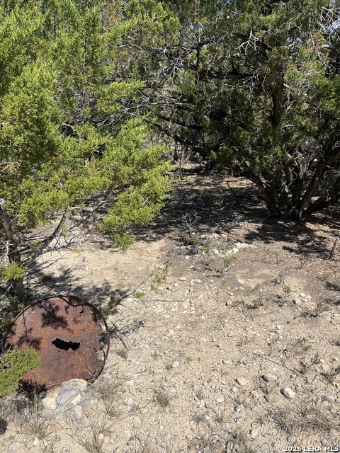 Image 2 of 15 For Lot 161 Bluff View Circle