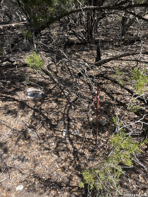 Image 3 of 15 For Lot 161 Bluff View Circle