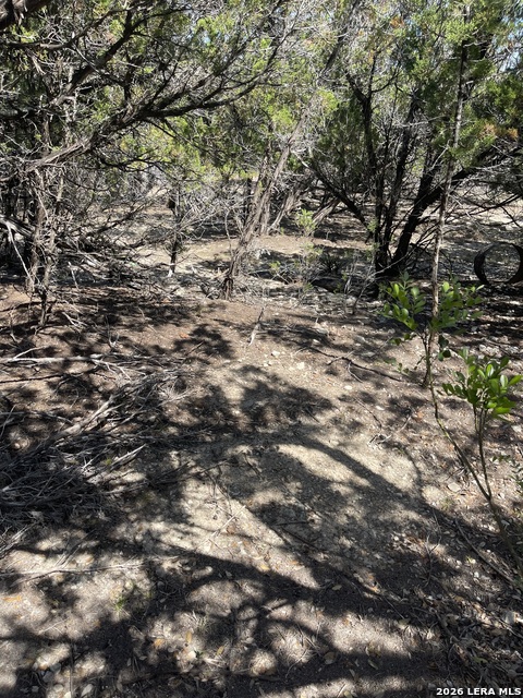 Image 4 of 15 For Lot 161 Bluff View Circle