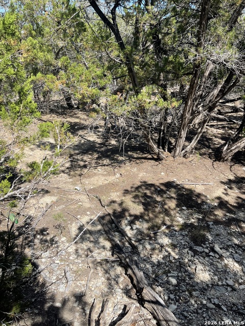 Image 5 of 15 For Lot 161 Bluff View Circle