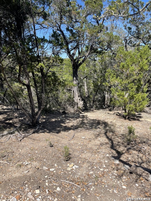 Image 8 of 15 For Lot 161 Bluff View Circle