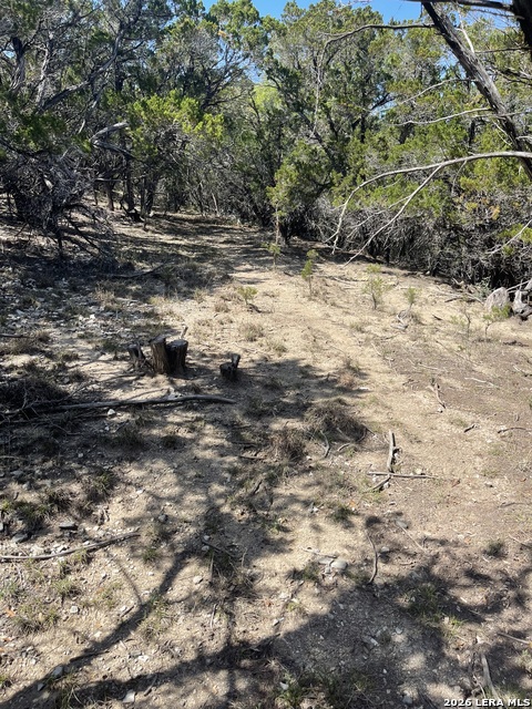 Image 9 of 15 For Lot 161 Bluff View Circle