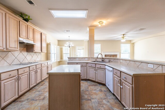 Image 11 of 38 For 4710 Shavano Bark