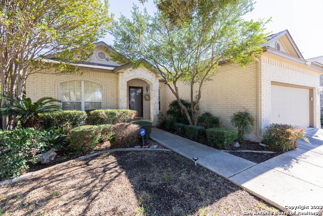 Image 2 of 38 For 4710 Shavano Bark