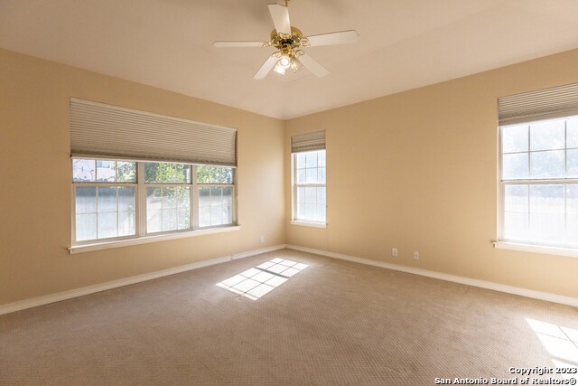 Image 23 of 38 For 4710 Shavano Bark