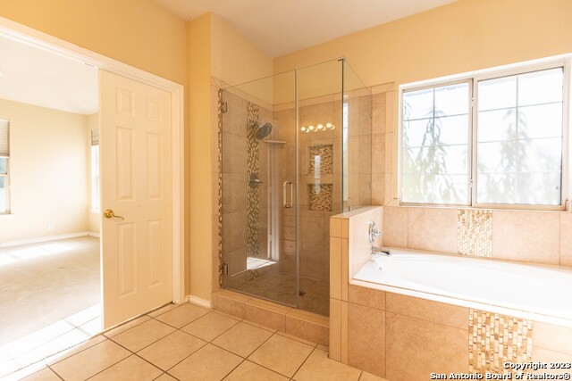 Image 27 of 38 For 4710 Shavano Bark