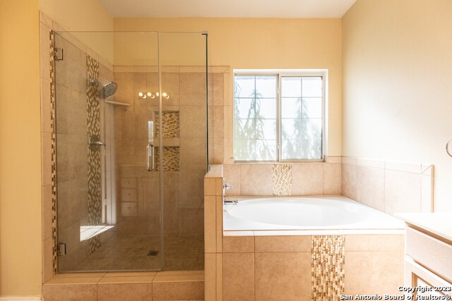 Image 28 of 38 For 4710 Shavano Bark