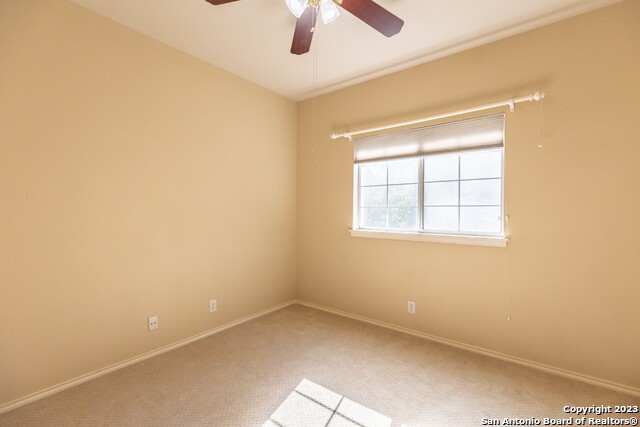 Image 35 of 38 For 4710 Shavano Bark