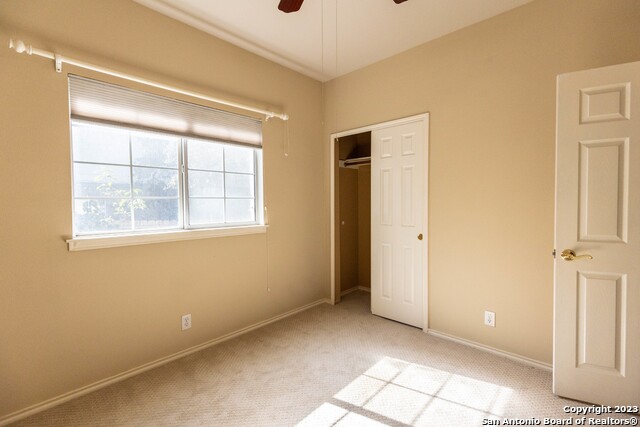 Image 36 of 38 For 4710 Shavano Bark