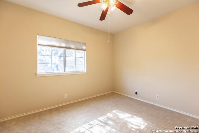 Image 38 of 38 For 4710 Shavano Bark