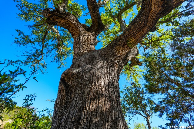 Image 11 of 43 For 348 Rocky Road