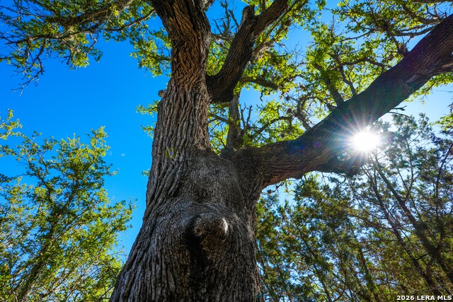 Image 12 of 43 For 348 Rocky Road