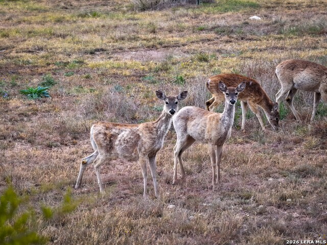Image 16 of 43 For 348 Rocky Road