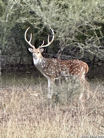 Image 17 of 43 For 348 Rocky Road